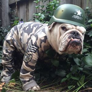 Meet your Posher, Dennis